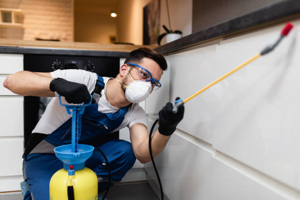 Best Flea Control Services  in Spring Valley, IL