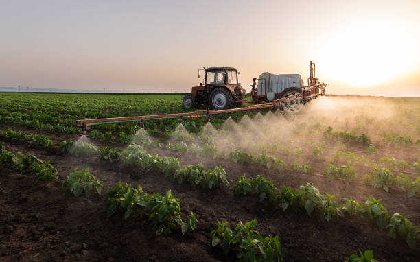 Pest Control Cost in Spring Valley, IL