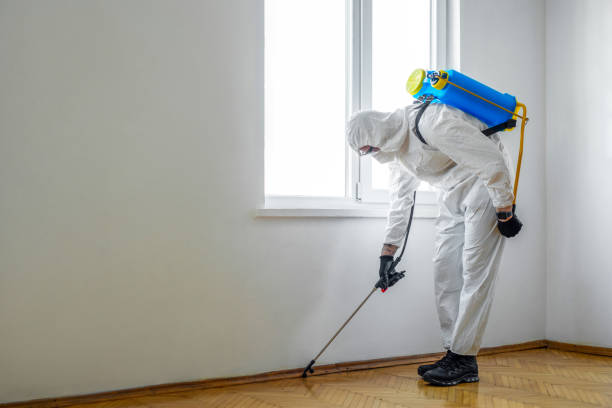 Best Pest Inspection Near Me  in Spring Valley, IL