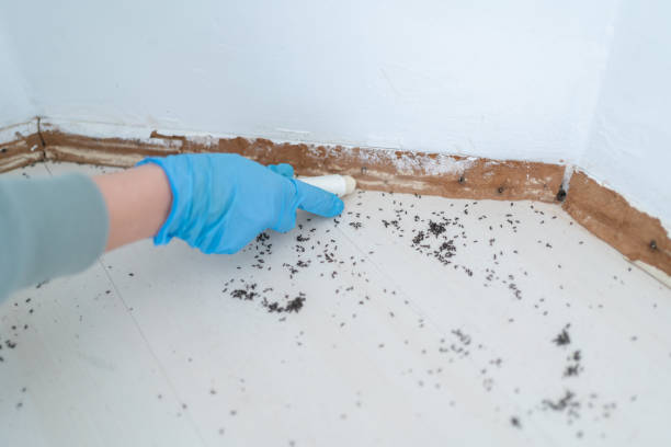 Spring Valley, IL Pest Control Company